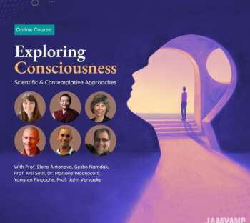 Exploring Consciousness